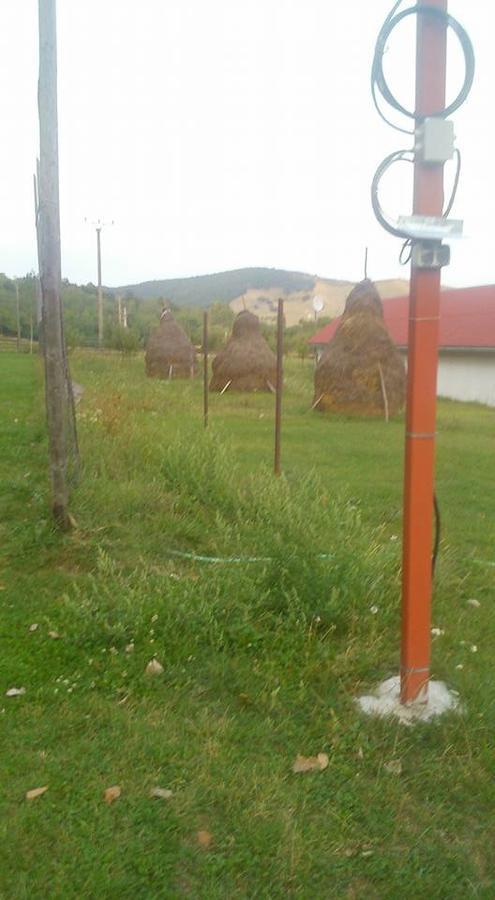 Pensiunea Aureliano Campsite *