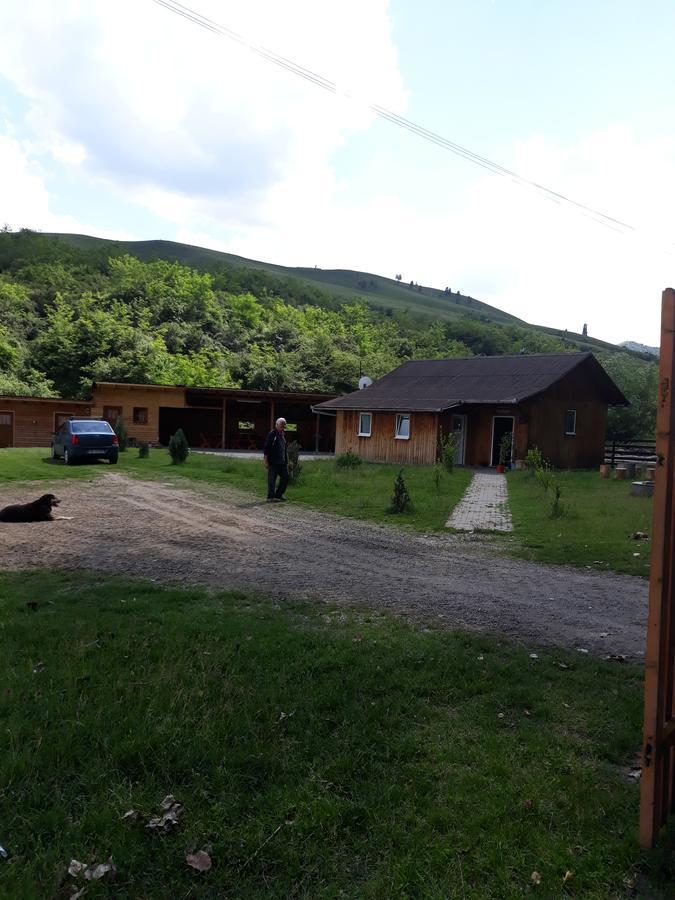 Pensiunea Aureliano Camping Răchita