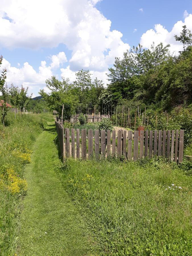 Campsite Pensiunea Aureliano *
